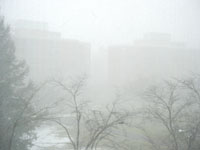 March Whiteout